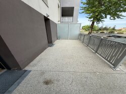 photo8