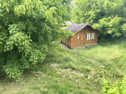 dependance-avec-box-a-chevaux