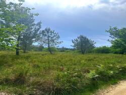 chemin-principal-du-terrain-agricole