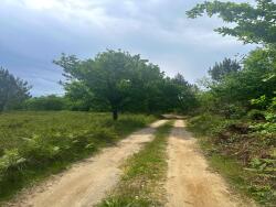 terrain-agricole
