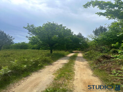 terrain-agricole