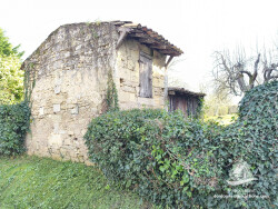 entree-sur-le-terrain