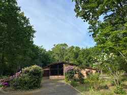 arriere-de-la-maison