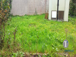 baisse-de-prix-