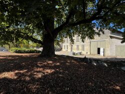 tanddem-immobilier-creon