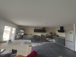 photo11