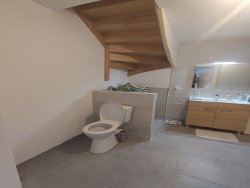 photo8