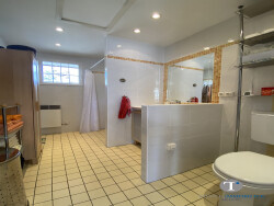 acces-mezzanine-dans-salon-sejour