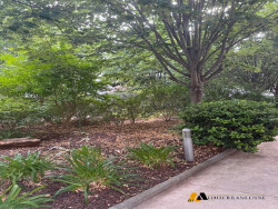 mgi-entree-batiment-c