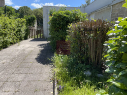 photo-11