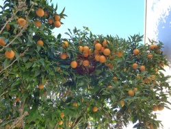 photo-1