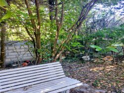 puit-deco-dans-jardin