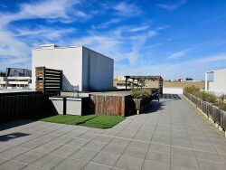 piscine-rooftop-1