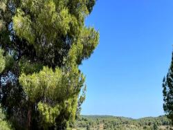 villa-220-m2-4-chambres-piscine