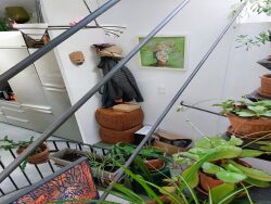 escalier-ferronerie-d-art