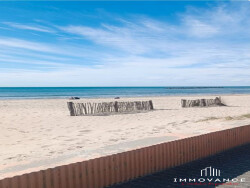 transforme-avec-l-ia