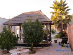 jardin
