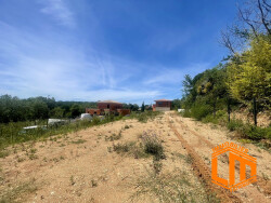 lot-4
