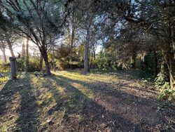 modele-projet-de-construction-possible