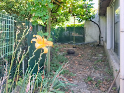 jardin-propose-avec-ia