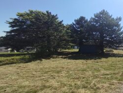 terrain-=-nouvelle-parcelle