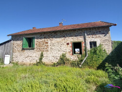 jardin-