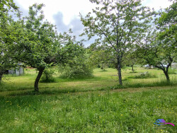 jardin-en-face-de-la-maison
