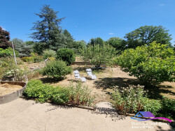 jardin-maison