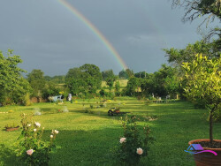 jardin