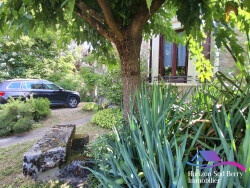 jardin-a-l-arriere