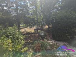 jardin-arbore