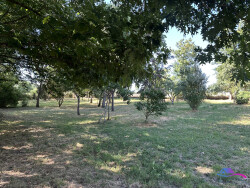 terrain-avec-puits