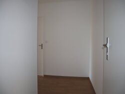 photo3