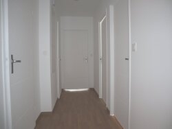 photo4