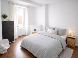 cour-avec-dependances-maison-1