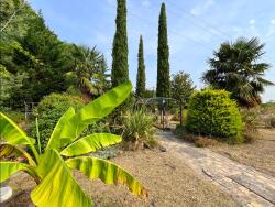 jardin
