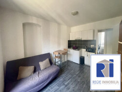 kitchenette-ouverte-sur-la-piece-de-vie-