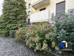 salle-de-bain-avec-eclairage-naturel