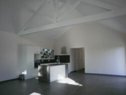 se-loger-a-seyssins-villa-individuelle