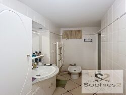 seyssins-vue-de-la-mezzanine