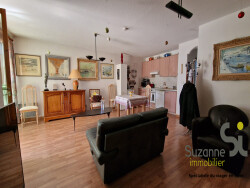 salon-sud-33m2