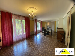 sam---salon-cheminee