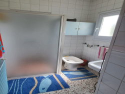 photo6