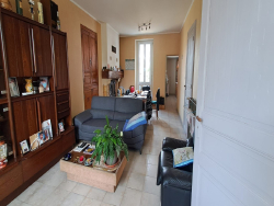 photo7