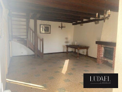 sejour-avec-poutre-et-cheminee