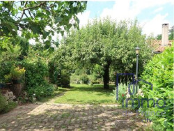 sejour-ouvert-sur-cuisine