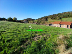 vue-du-terrain