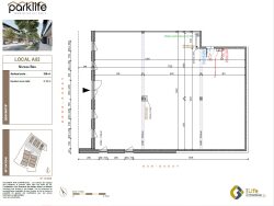 cellule-b02