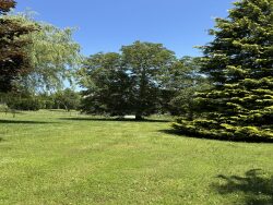 terrasse-exposee-sud