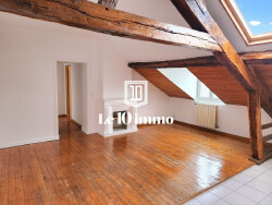 projection-salon